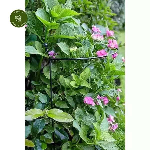 Cottage Garden Arc - Small 4 Cottage Garden Arc - Small - Image 2