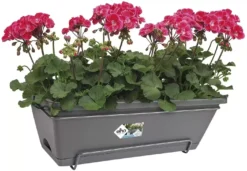 Elho® Barcelona All-In-1 50cm Anthracite -Garden Care Supply Store elho barcelona all in 1 50cm anthracite 1416x980 638f5b5fade35 l