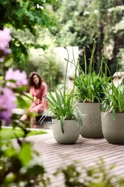 Elho® Fuente Grains Round 38cm Pebble Grey 8 Elho® Fuente Grains Round 38cm Pebble Grey -Garden Care Supply Store elho fuente grains round pebble grey 1629364794 1024x1536 61f326f423cda l