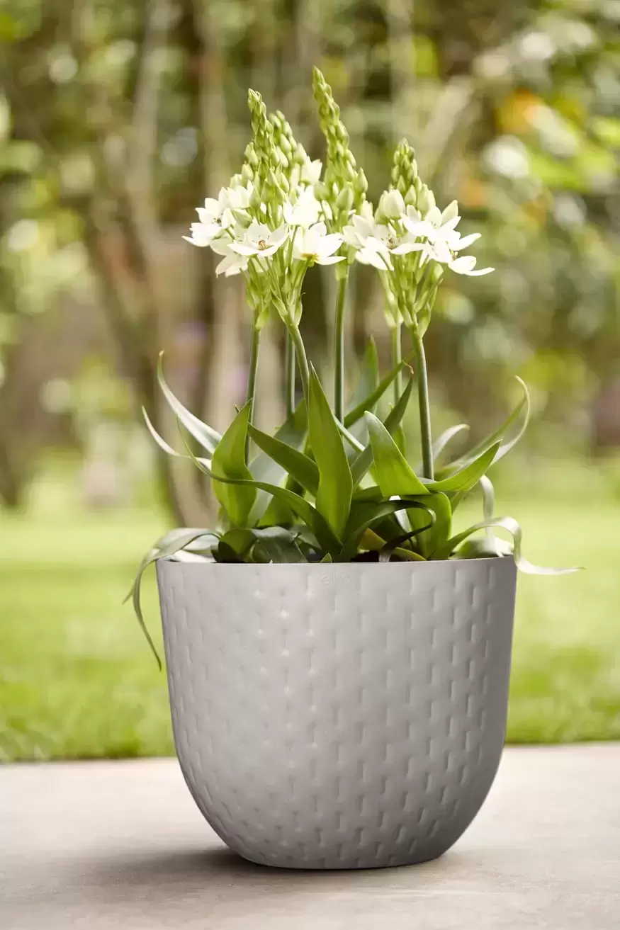 Elho® Fuente Grains Round 38cm Pebble Grey 4 Elho® Fuente Grains Round 38cm Pebble Grey - Image 2