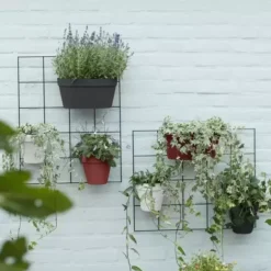Elho® Loft Urban Green Wall Duo 28cm Anthracite -Garden Care Supply Store elho loft urban green wall duo 28cm anthracite 731x731 61f327d934037 l