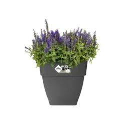 Elho® Vibia Campana Square 30cm Anthracite 9 Elho® Vibia Campana Square 30cm Anthracite -Garden Care Supply Store elho vibia campana square anthracite 1629365541 1100x1100 61f329306e425 l