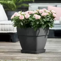 Elho® Vibia Campana Square 30cm Anthracite 10 Elho® Vibia Campana Square 30cm Anthracite -Garden Care Supply Store elho vibia campana square anthracite 1629365541 732x733 61f3293237433 l