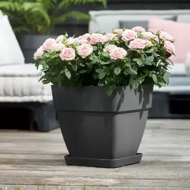 Elho® Vibia Campana Square 30cm Anthracite 6 Elho® Vibia Campana Square 30cm Anthracite - Image 4