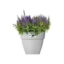 Elho® Vibia Campana Square 30cm Living Concrete 9 Elho® Vibia Campana Square 30cm Living Concrete -Garden Care Supply Store elho vibia campana square living concrete 1629365558 1100x1100 61f32936c4779 l
