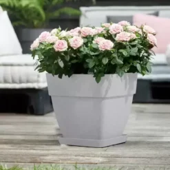 Elho® Vibia Campana Square 30cm Living Concrete 10 Elho® Vibia Campana Square 30cm Living Concrete -Garden Care Supply Store elho vibia campana square living concrete 1629365558 732x733 61f329389bf1b l