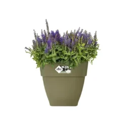 Elho® Vibia Campana Square 30cm Sage Green 9 Elho® Vibia Campana Square 30cm Sage Green -Garden Care Supply Store elho vibia campana square sage green 1629365575 1100x1100 61f3293d56f80 l