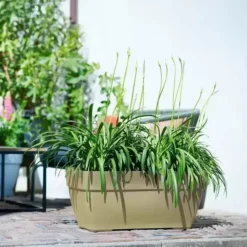 Elho® Vibia Campana Terrace Trough 80cm Sage Green -Garden Care Supply Store elho vibia campana terrace trough 80cm sage green 731x731 61f3295081d65 l