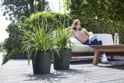 Elho® Vibia Straight Round 30cm Anthracite 10 Elho® Vibia Straight Round 30cm Anthracite -Garden Care Supply Store elho vibia straight round anthracite 1629365615 1500x1000 61f328b065bcb l