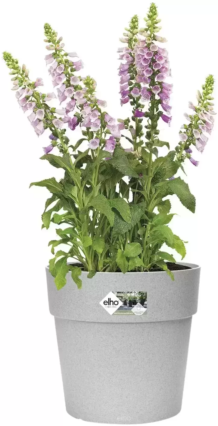 Elho® Vibia Straight Round 30cm Living Concrete 5 Elho® Vibia Straight Round 30cm Living Concrete - Image 3