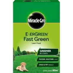 EverGreen® Fast Green 80m²