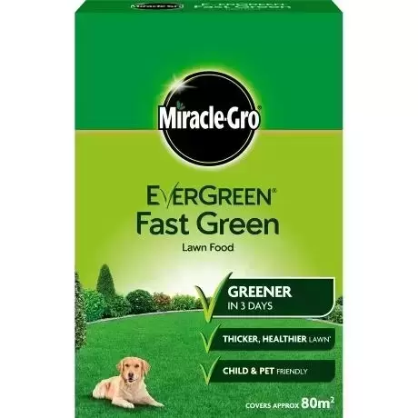 EverGreen® Fast Green 80m² 3 EverGreen® Fast Green 80m²