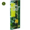 Greenhouse Sticky Traps -Garden Care Supply Store greenhouse sticky traps 466x466 651bd4ca8153e l