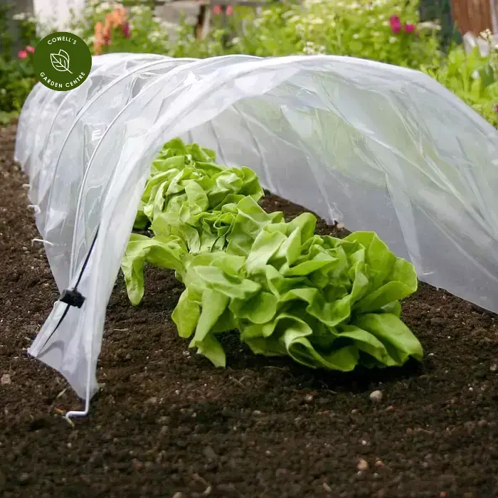 Haxnicks Easy Poly Tunnel 4 Haxnicks Easy Poly Tunnel - Image 2