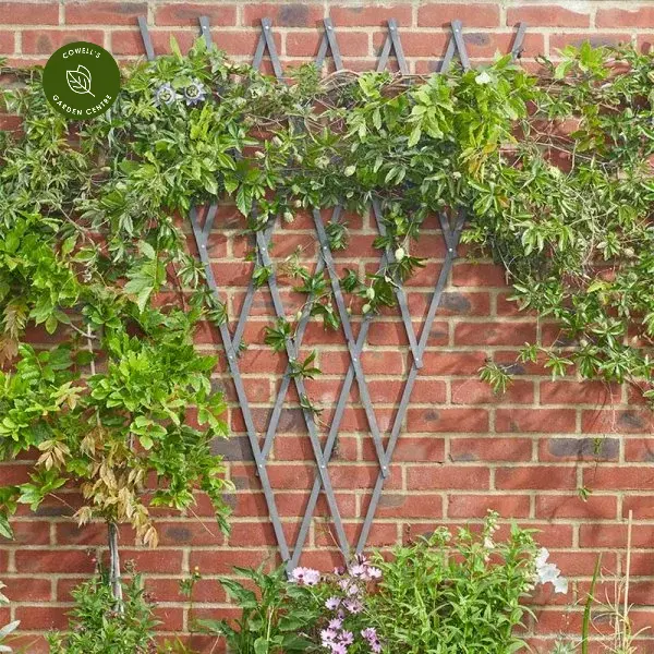 Heavy Duty Expanding Fan Trellis Tan 4 Heavy Duty Expanding Fan Trellis Tan - Image 2