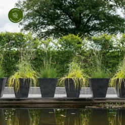 Ivyline Ella Black Planter - Small -Garden Care Supply Store ivyline ella black planter small 1000x1000 64d37faf56f33 l