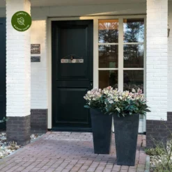 Ivyline Ella Black Vase - Medium 5 Ivyline Ella Black Vase - Medium -Garden Care Supply Store ivyline ella black vase medium 1000x1000 64d37fb2123ac l