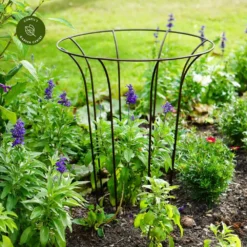 Ivyline Fluted Bronze Plant Climber