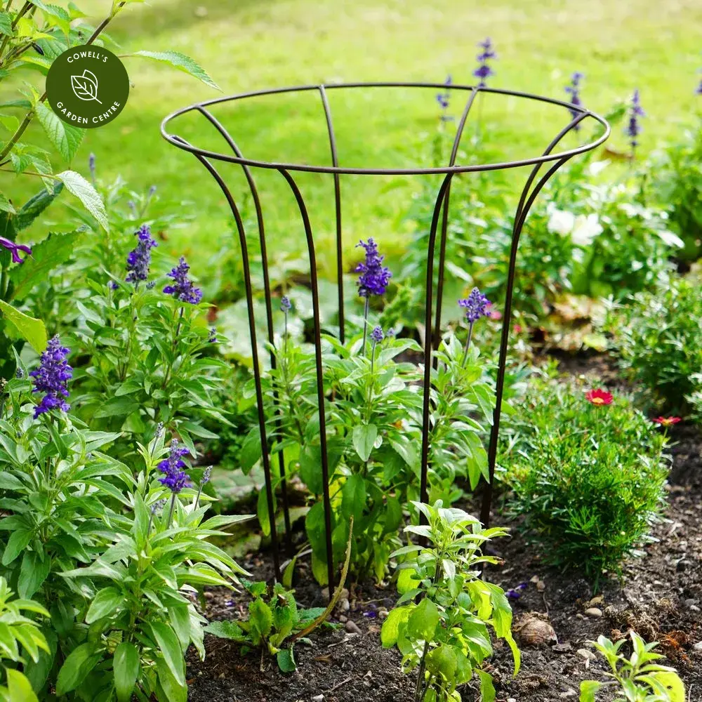 Ivyline Fluted Bronze Plant Climber 3 Ivyline Fluted Bronze Plant Climber