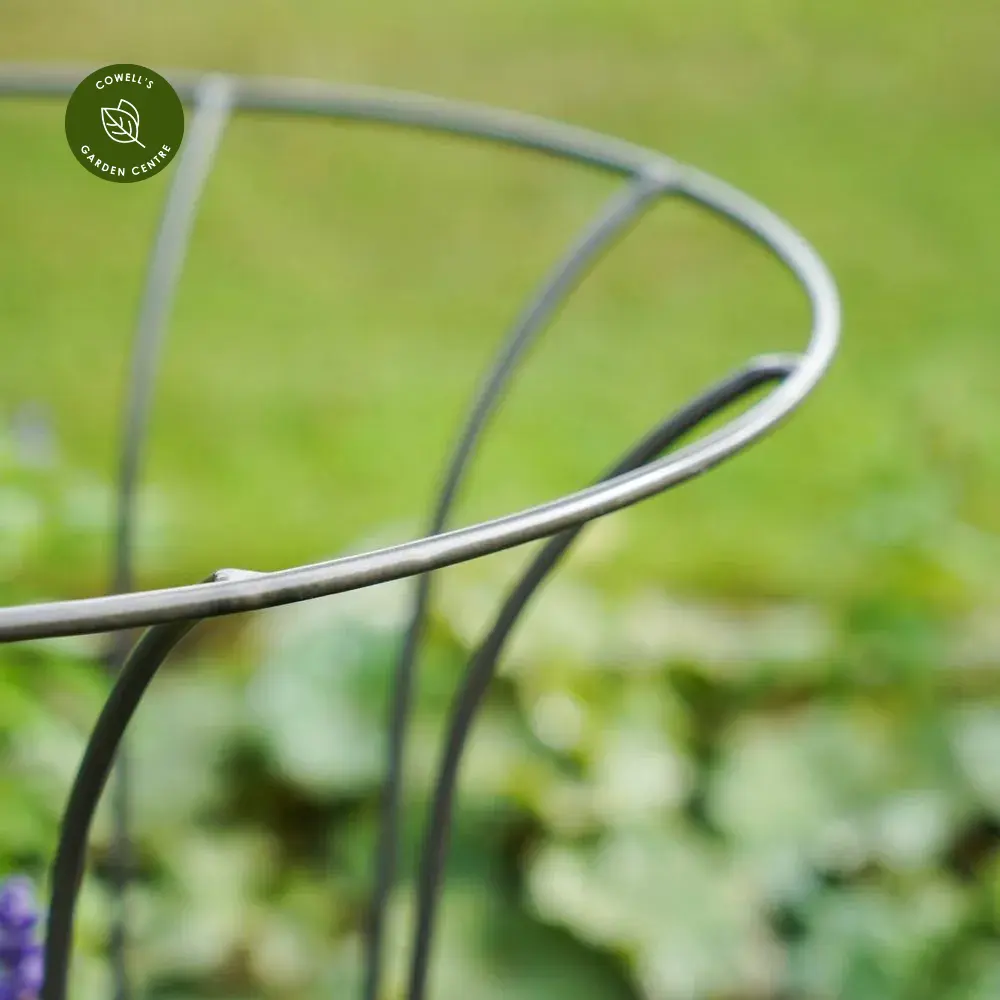 Ivyline Fluted Bronze Plant Climber 5 Ivyline Fluted Bronze Plant Climber - Image 3