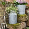 Ivyline Galvanised Milk Churn Planter -Garden Care Supply Store ivyline galvanised milk churn planter 1000x1000 64d3b63b9431d l