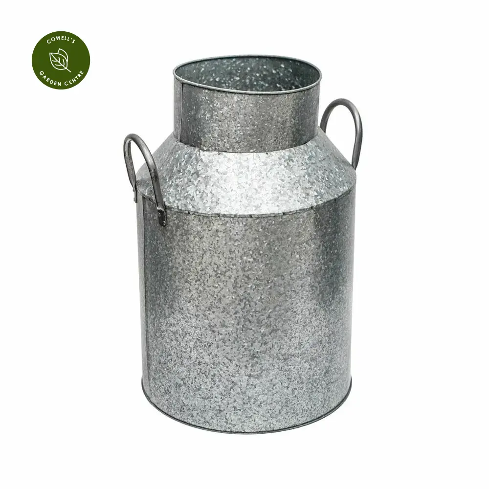 Ivyline Galvanised Milk Churn Planter 4 Ivyline Galvanised Milk Churn Planter - Image 2