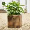Ivyline Hampton Copper Square Planter - Medium 2 Ivyline Hampton Copper Square Planter - Medium -Garden Care Supply Store ivyline hampton copper square planter medium 1000x1000 64f5f3ad6834b l