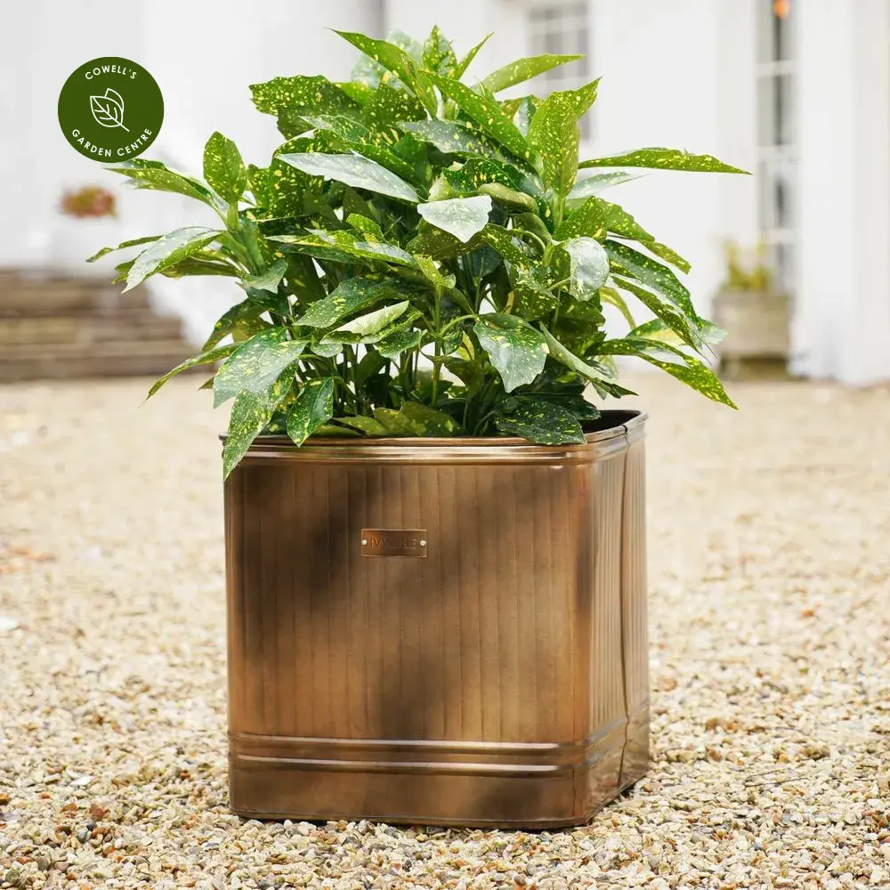 Ivyline Hampton Copper Square Planter - Medium 3 Ivyline Hampton Copper Square Planter - Medium