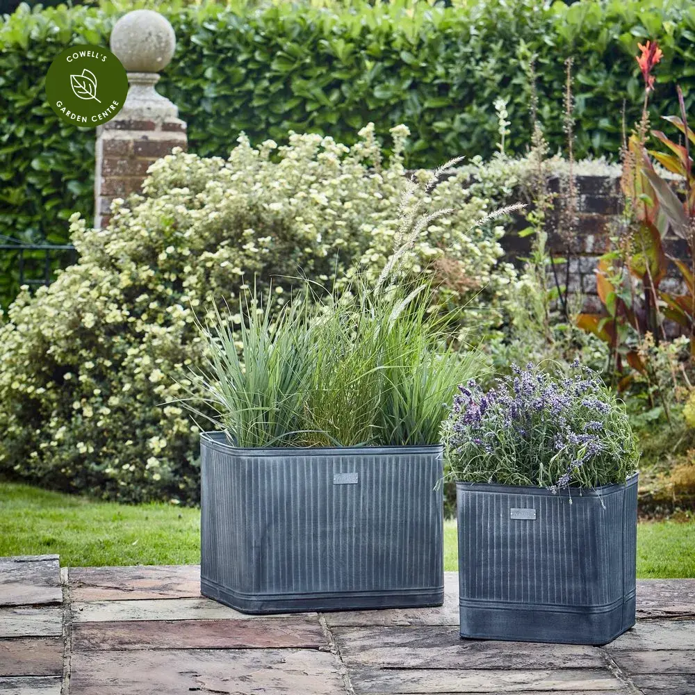 Ivyline Hampton Galvanised Square Planter - Large 3 Ivyline Hampton Galvanised Square Planter - Large