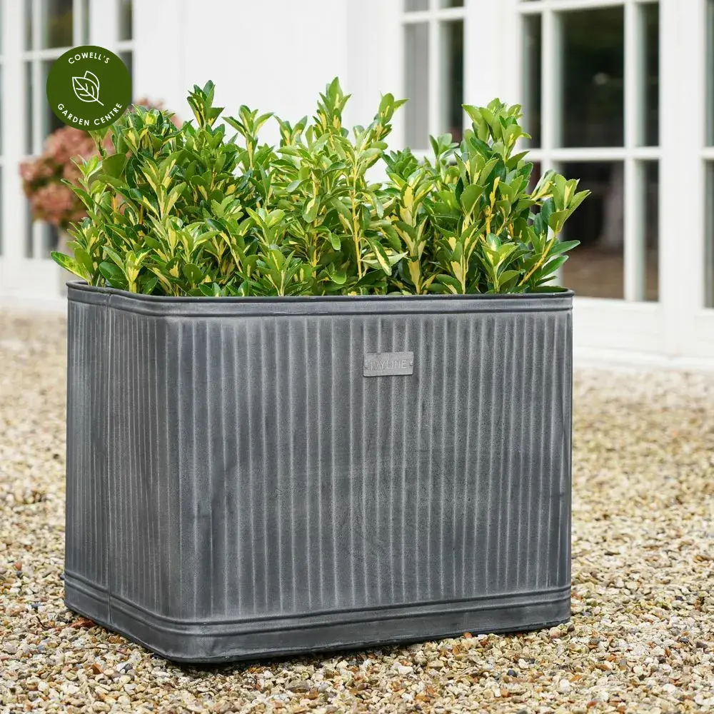 Ivyline Hampton Galvanised Square Planter - Large 4 Ivyline Hampton Galvanised Square Planter - Large - Image 2