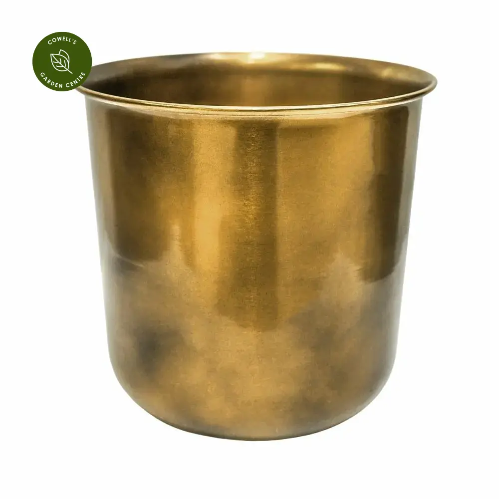 Ivyline Hampton Planter - Antique Brass 4 Ivyline Hampton Planter - Antique Brass - Image 2