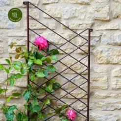 Ivyline Linear Bronze Plant Trellis