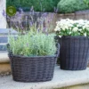 Ivyline Lined Basket - Grey -Garden Care Supply Store ivyline lined basket grey 1000x1000 64d37fd2a0cba l