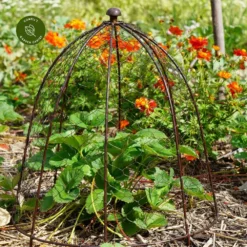 Ivyline Netted Bronze Plant Protector - Medium