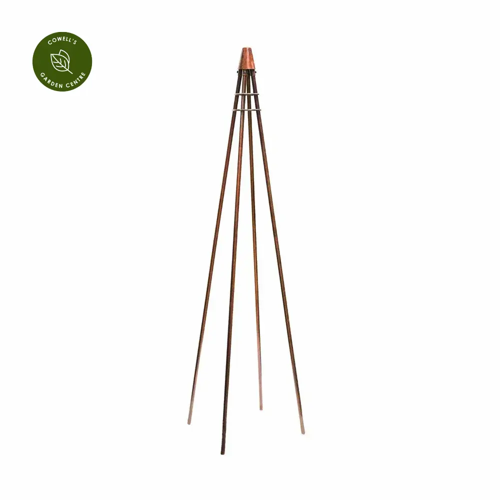 Ivyline Plant Climber Tripod - Bronze 4 Ivyline Plant Climber Tripod - Bronze - Image 2
