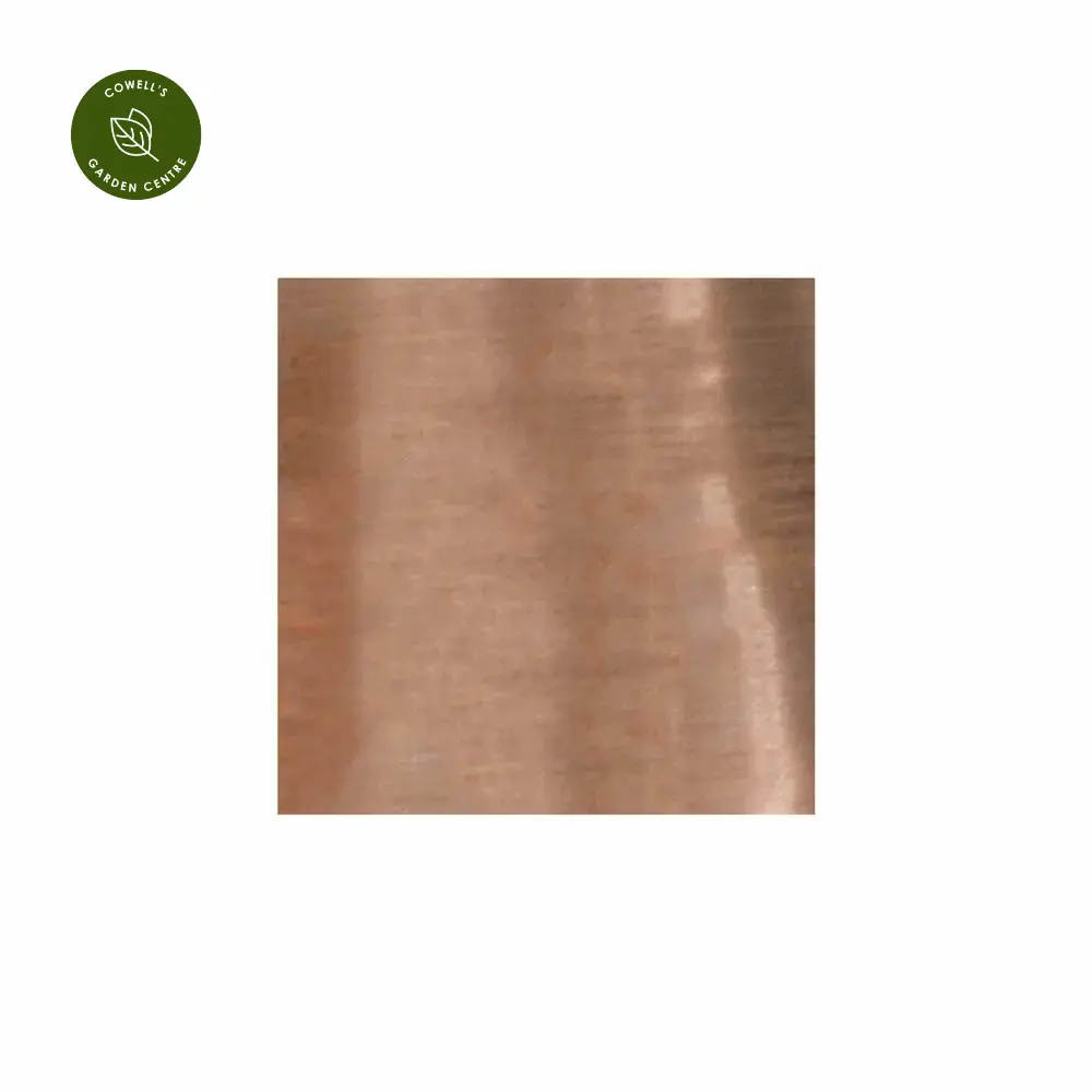 Ivyline Plant Climber Tripod - Bronze 6 Ivyline Plant Climber Tripod - Bronze - Image 4