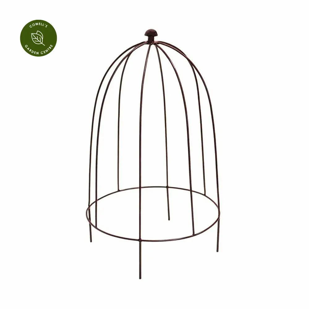 Ivyline Plant Support Bronze - Medium 4 Ivyline Plant Support Bronze - Medium - Image 2