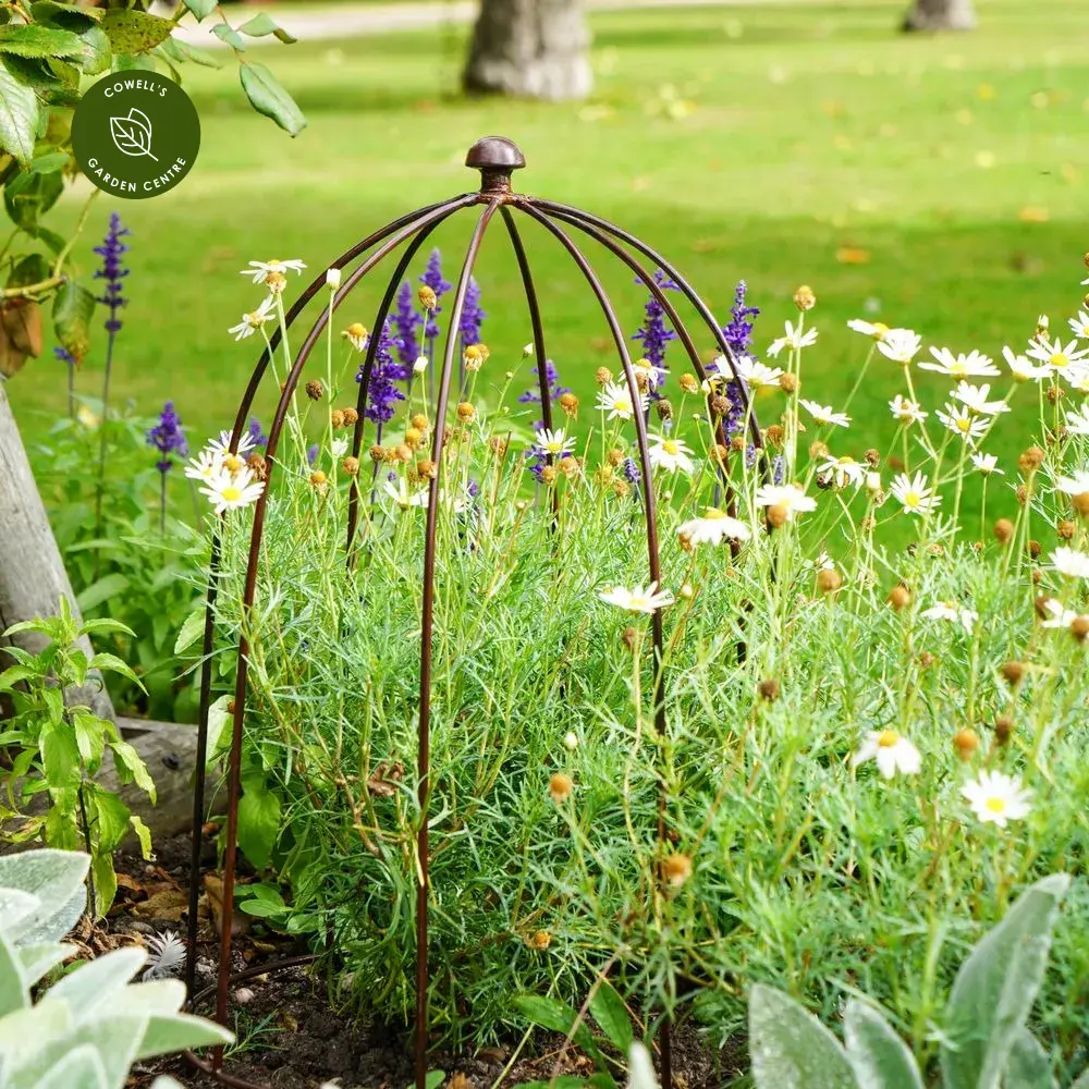 Ivyline Plant Support Bronze - Medium 3 Ivyline Plant Support Bronze - Medium