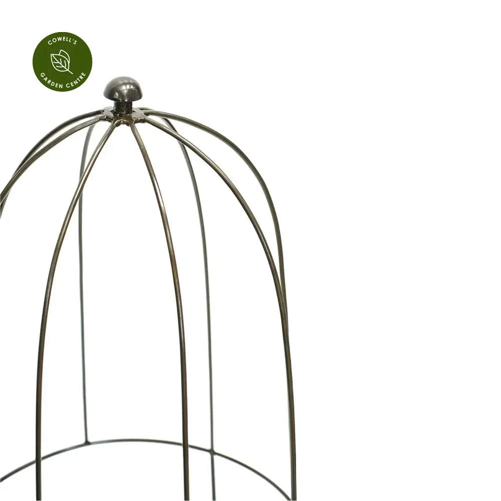 Ivyline Plant Support Zinc - Medium 4 Ivyline Plant Support Zinc - Medium - Image 2