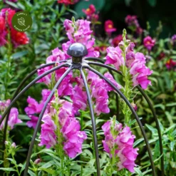 Ivyline Plant Support Zinc - Medium 7 Ivyline Plant Support Zinc - Medium -Garden Care Supply Store ivyline plant support zinc 1000x1000 64f6e6e445966 l