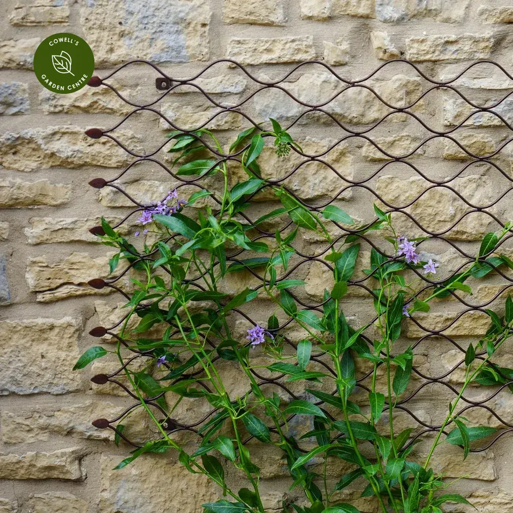 Ivyline Plant Trellis Bronze - Medium 4 Ivyline Plant Trellis Bronze - Medium - Image 2