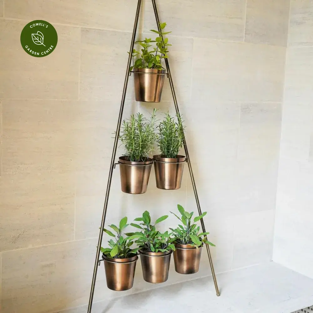 Ivyline Wall Plant Stand With Planters - Medium 3 Ivyline Wall Plant Stand With Planters - Medium