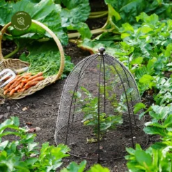 Ivyline Wired Bronze Plant Protector - Medium