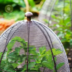 Ivyline Wired Bronze Plant Protector - Medium -Garden Care Supply Store ivyline wired bronze plant protector medium 1000x1000 64f6f5ab96790 l