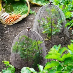 Ivyline Wired Bronze Plant Protector - Medium -Garden Care Supply Store ivyline wired bronze plant protector medium 1000x1000 64f6f5ad4933a l