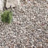 Kelkay Bulk Bag Caledonian Pebbles 2 Kelkay Bulk Bag Caledonian Pebbles -Garden Care Supply Store kelkay bulk bag caledonian pebbles 1536x1536 61f34f171b7ce l