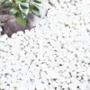 Kelkay Bulk Bag Coral White Pebbles 1 Kelkay Bulk Bag Coral White Pebbles -Garden Care Supply Store kelkay bulk bag coral white pebbles 1536x1536 61f34fac701d4 l