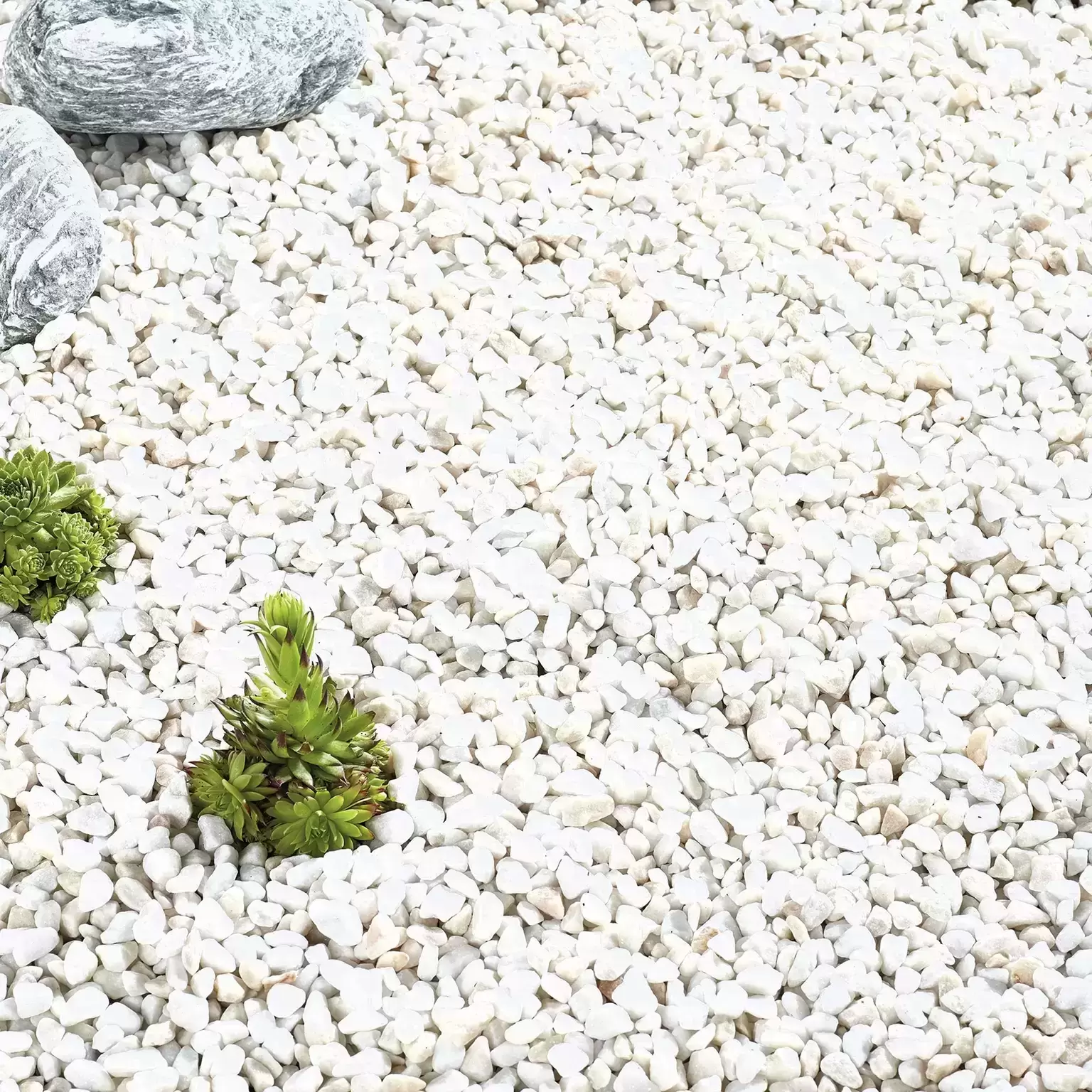 Kelkay Bulk Bag French Pearl 3 Kelkay Bulk Bag French Pearl