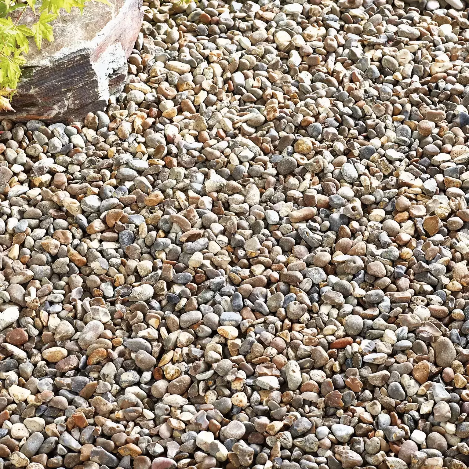 Kelkay Bulk Bag Oyster Pearl Pebbles 3 Kelkay Bulk Bag Oyster Pearl Pebbles