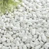 Kelkay Bulk Bag Pearl White Cobbles 2 Kelkay Bulk Bag Pearl White Cobbles -Garden Care Supply Store kelkay bulk bag pearl white cobbles 1536x1536 61f351912699e l
